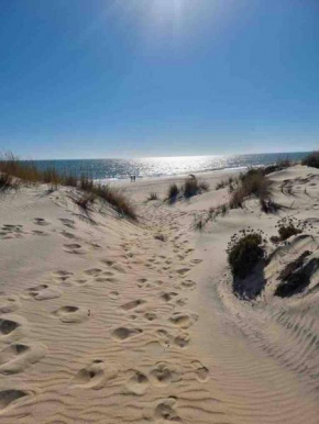 Beachfront 3 Bedroom Family Apartment, Matalascanas